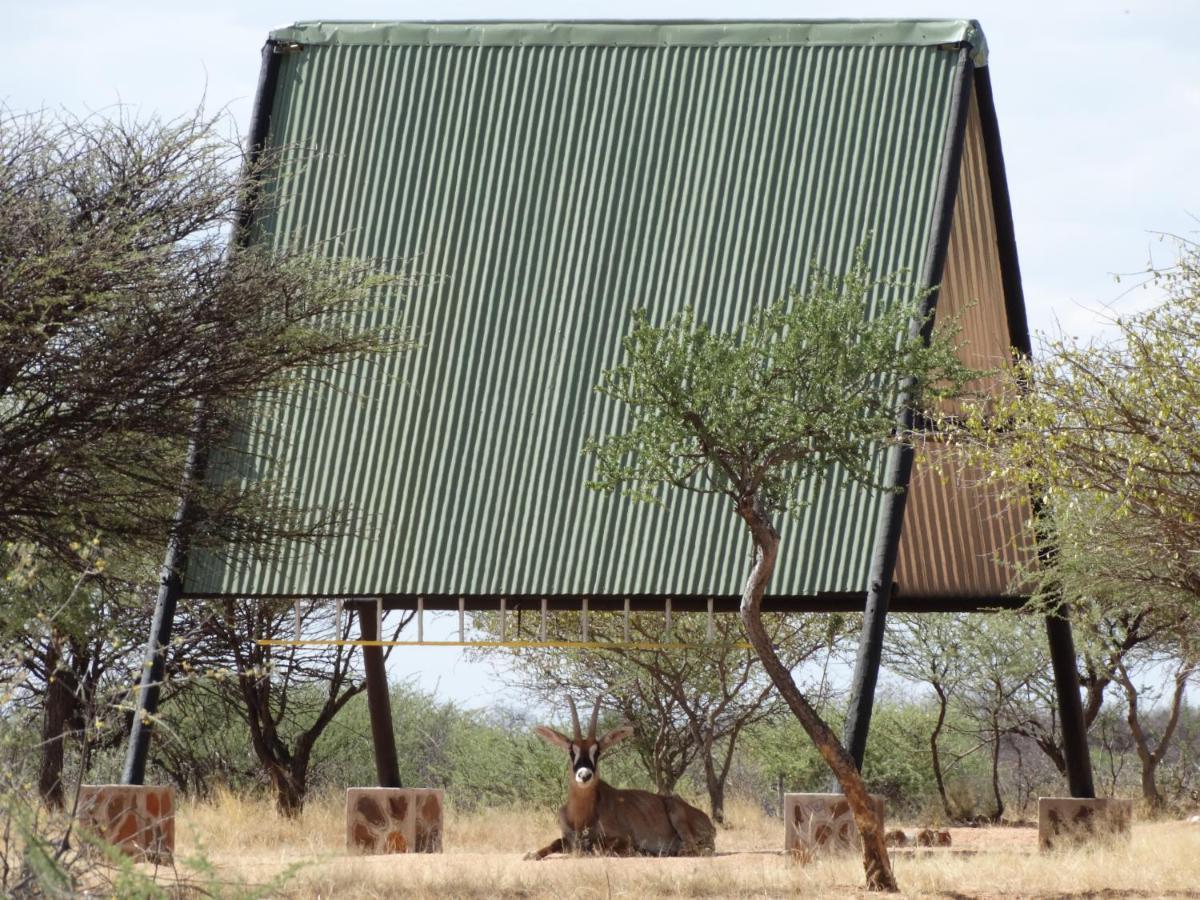 Ovita Wildlife Restcamp Okazize Ngoại thất bức ảnh